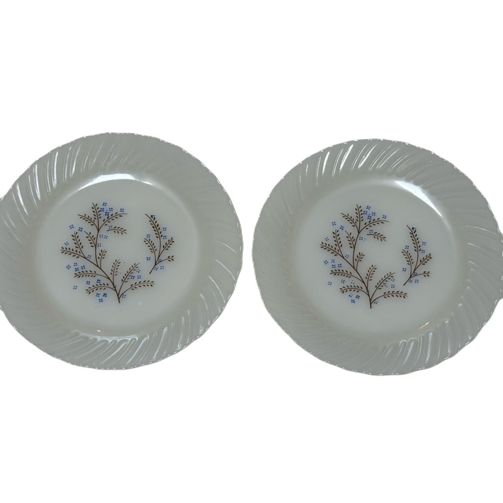 2x Termocrisa Mexico Milk Glass Blue & Brown Floral 7" B/B Plate Swirl Edge